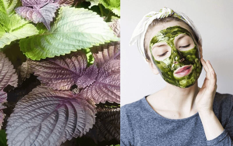 Bật mí cách trị mụn thịt hiệu quả, tiết kiệm chi phí 