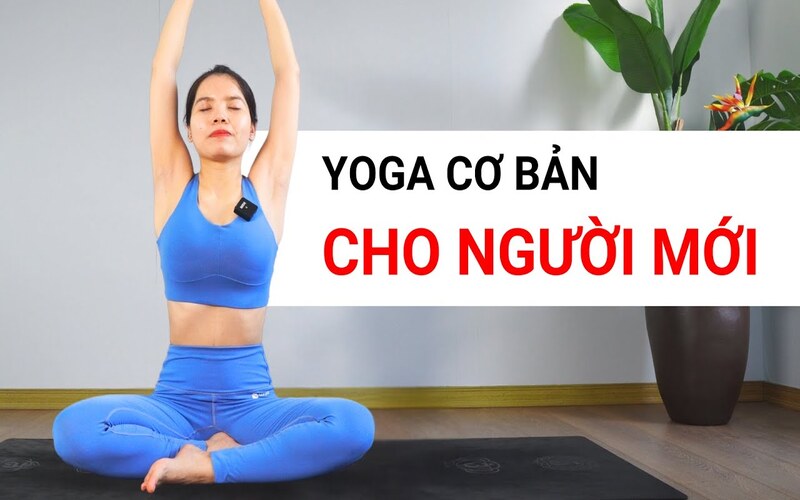 Hướng dẫn yoga cho người mới bắt đầu đơn giản và hiệu quả
