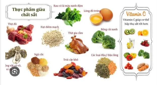 benh-tan-mau-bam-sinh-la-gi-d09